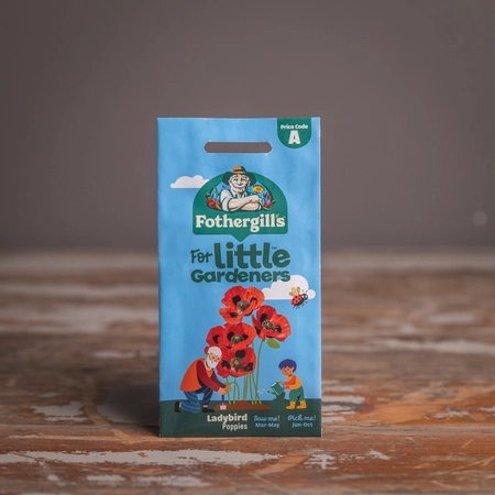 Lg Ladybird Poppies - image 1
