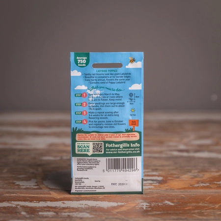 Lg Ladybird Poppies - image 2