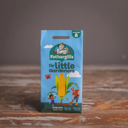 Lg Popcorn Sweet Corn - image 1