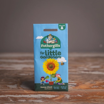 Lg Sunny Giant Sunflowers - image 1