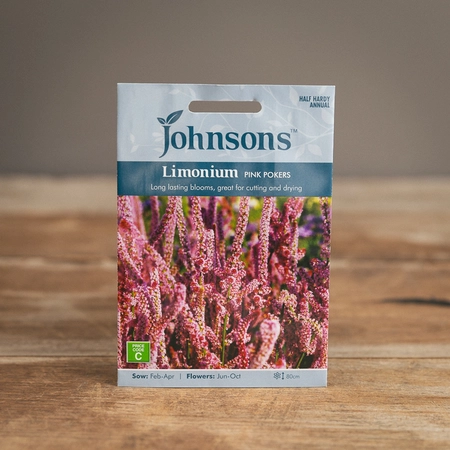 Limonium Pink Pokers - image 1