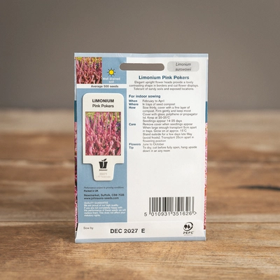 Limonium Pink Pokers - image 2