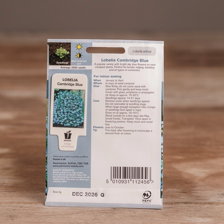 Lobelia Cambridge Blue - image 2