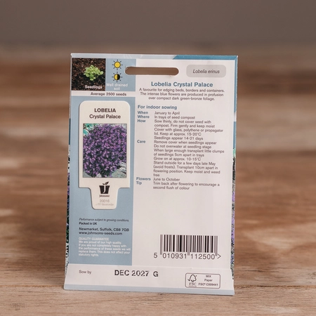 Lobelia Crystal Palace - image 2