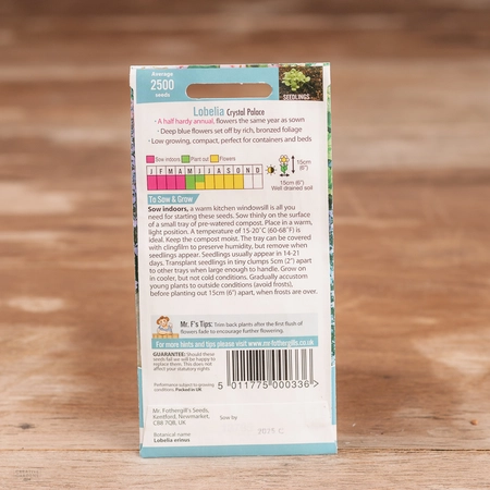 Lobelia Crystal Palace - image 2