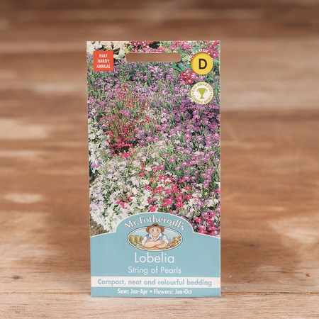 Lobelia String Of Pearls - image 1