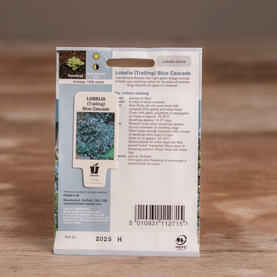 Lobelia (Trailing) Blue Cascade - image 2