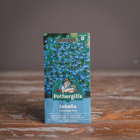 Lobelia (Trailing) Cambridge Blue - image 1