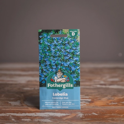 Lobelia (Trailing) Cambridge Blue - image 1