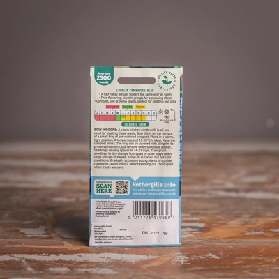 Lobelia (Trailing) Cambridge Blue - image 2