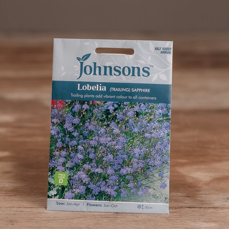 Lobelia (Trailing) Sapphire - image 1