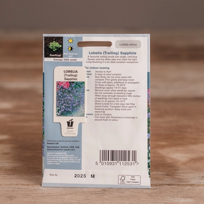 Lobelia (Trailing) Sapphire - image 2