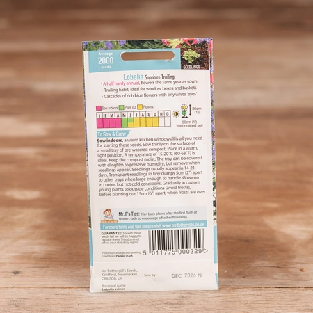 Lobelia (Trailing) Sapphire - image 2