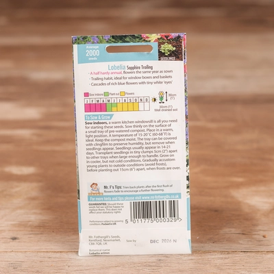 Lobelia (Trailing) Sapphire - image 2