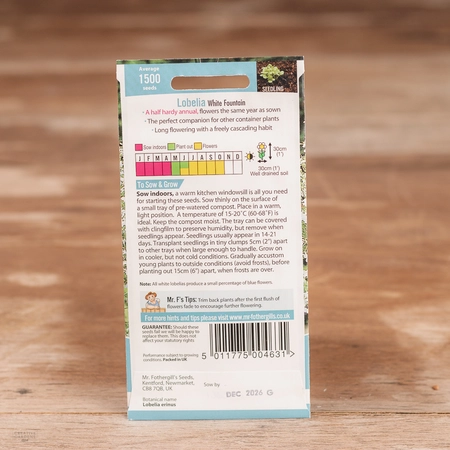 Lobelia (Trailing) White Fountain - image 2