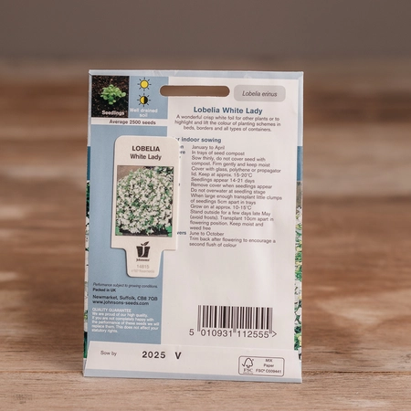 Lobelia White Lady - image 2