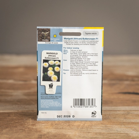 Marigold (African) Buttercream F1 - image 2