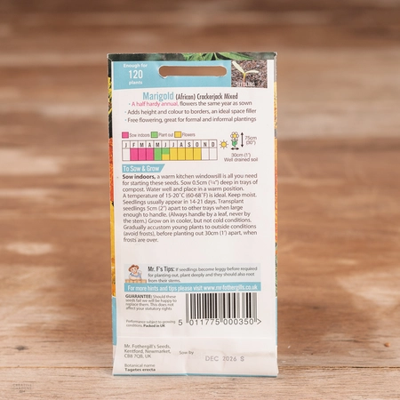 Marigold (African) Crackerjack Mix - image 2