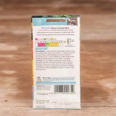 Marigold (African) Crackerjack Mix - image 2