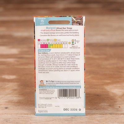 Marigold (African) Kees' Orange - image 2