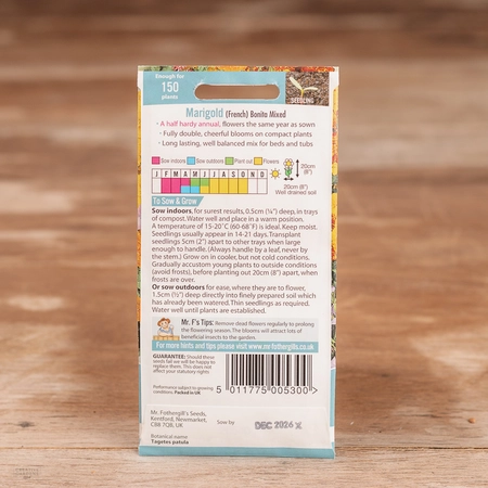 Marigold (French) Bonita Mix - image 2