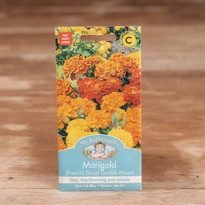 Marigold (French) Dwarf Double Mix - image 1
