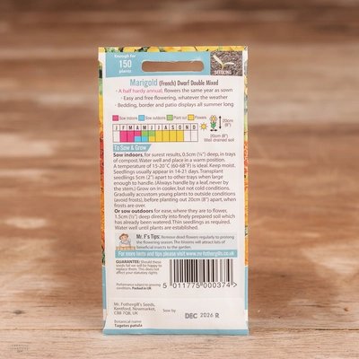 Marigold (French) Dwarf Double Mix - image 2