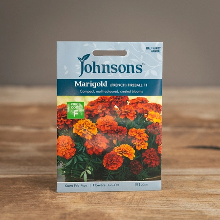 Marigold (French) Fireball F1 - image 1