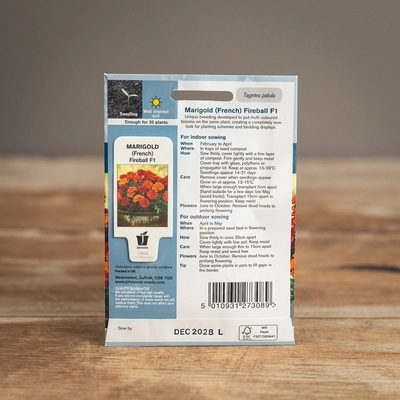 Marigold (French) Fireball F1 - image 2