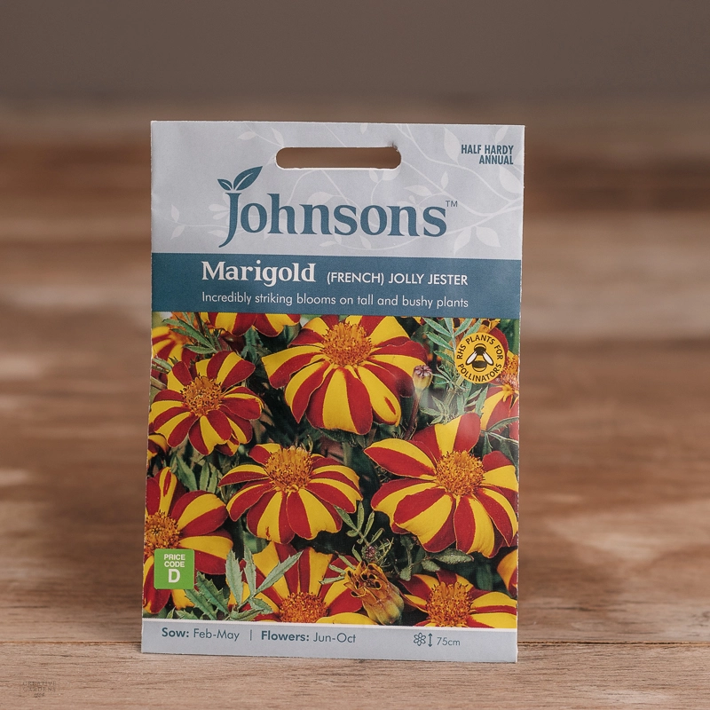 Marigold (French) Jolly Jester Creative Gardens