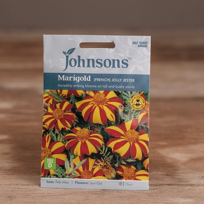 Marigold (French) Jolly Jester - image 1