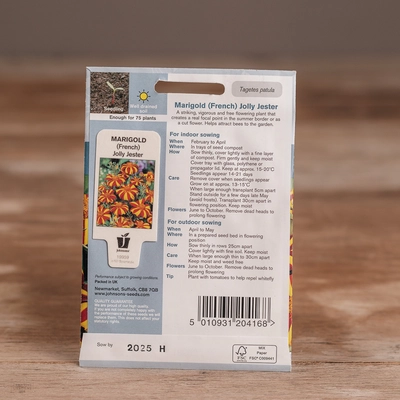 Marigold (French) Jolly Jester - image 2