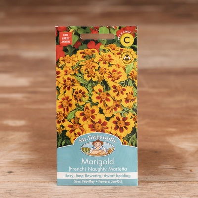 Marigold (French) Naughty Marietta - image 1