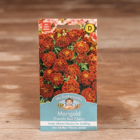 Marigold (French) Red Cherry - image 1