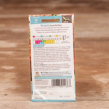 Marigold (French) Red Cherry - image 2