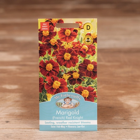 Marigold (French) Red Knight - image 1