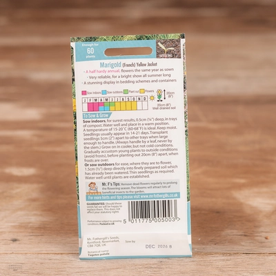 Marigold (French) Yellow Jacket - image 2