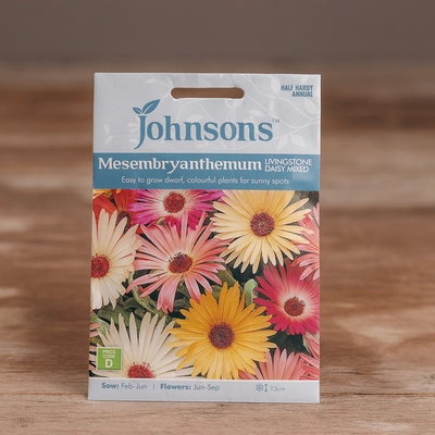 Mesembryanthemum Livingstone Daisy Mix - image 1