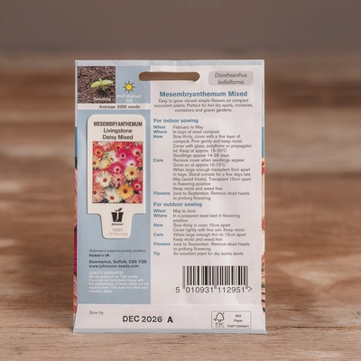 Mesembryanthemum Livingstone Daisy Mix - image 2