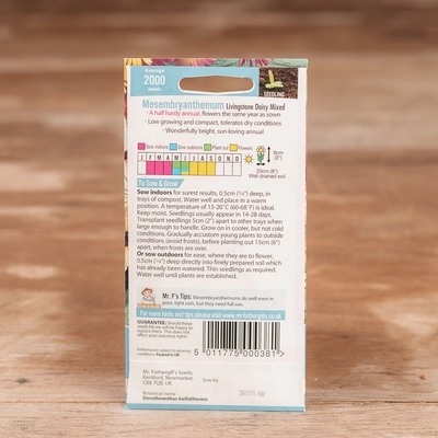 Mesembryanthemum Livingstone Daisy Mix - image 2