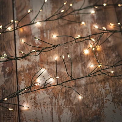 Noma Compact LED Christmas Lights - Warm White