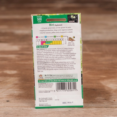 Mint (Applemint) - image 2