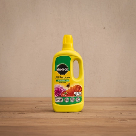 Miracle-Gro All Purpose Plant Food Concentrate 800ml