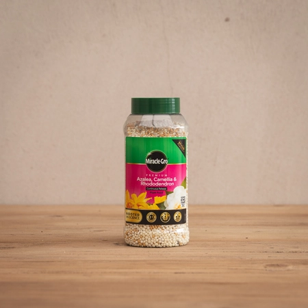 Miracle-Gro Azalea, Camellia, Rhododendron Continuous Release Plant Food 900g