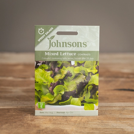 Mixed Lettuce Contrasts - image 1