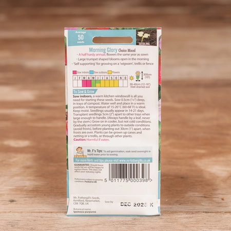 Morning Glory Choice Mix - image 2