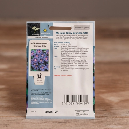 Morning Glory Grandpa Otts - image 2
