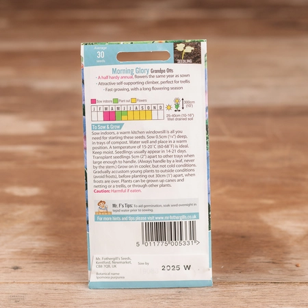 Morning Glory Grandpa Otts - image 2