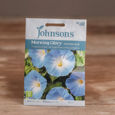 Morning Glory Heavenly Blue - image 1