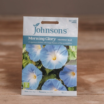 Morning Glory Heavenly Blue - image 1
